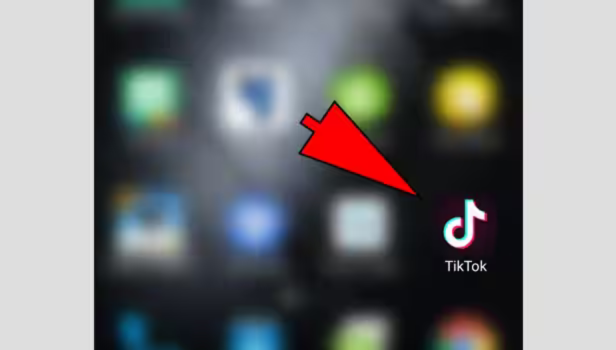 Sharing TikTok Videos on WhatsApp