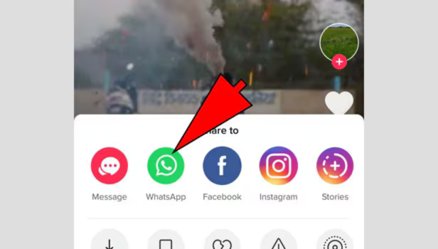 Sharing TikTok Videos on WhatsApp